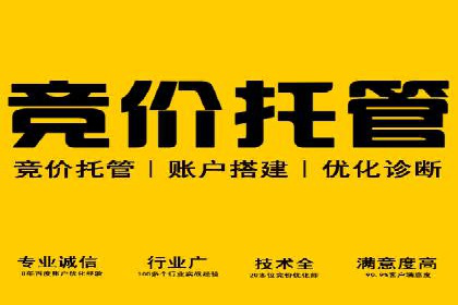 百度竞价推广代运营经典案例分析